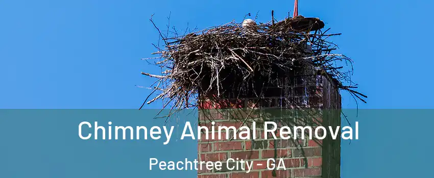  Chimney Animal Removal Peachtree City - GA