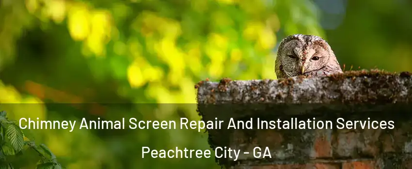  Chimney Animal Screen Repair And Installation Services Peachtree City - GA