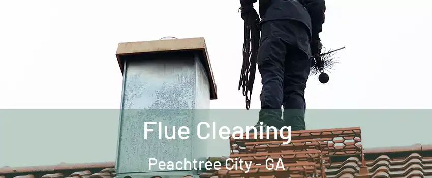  Flue Cleaning Peachtree City - GA