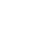 Professional Chimney Flue Installation in Peachtree City, Georgia