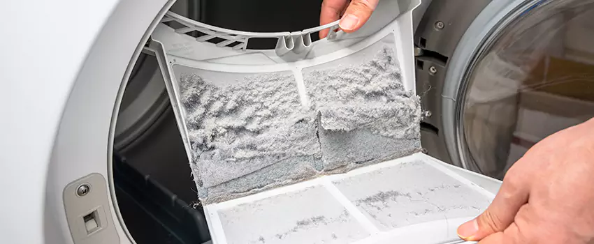 Best Dryer Lint Removal Company in Peachtree City, Georgia