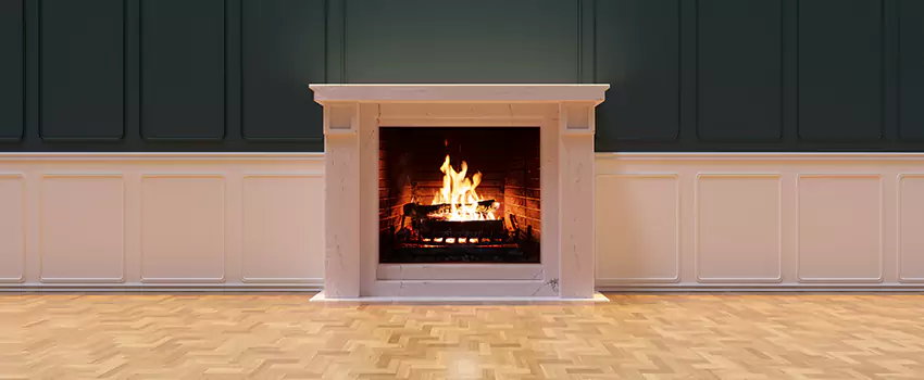 Napoleon Electric Fireplaces Inspection Service in Peachtree City, Georgia