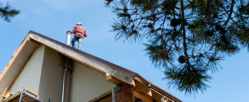 Birds Removal Contractors from Chimney in Peachtree City, GA